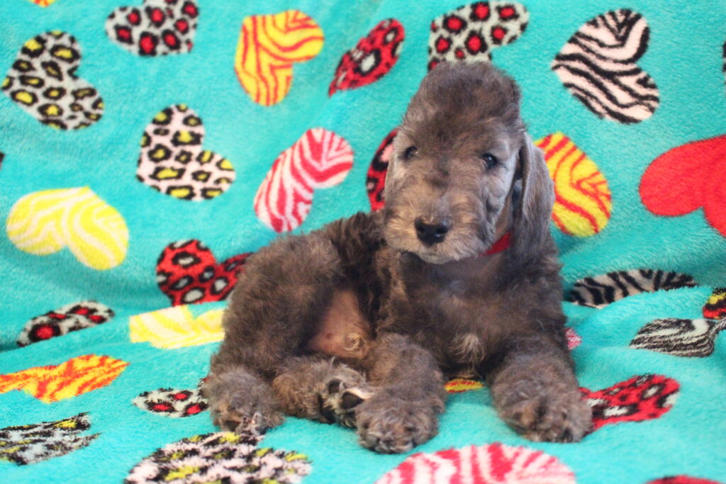 IMG_1074