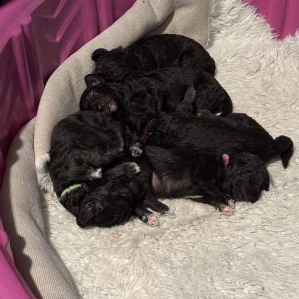 2A1A61B4-F3F0-45FA-84F9-EFB1B974A063_1_105_c